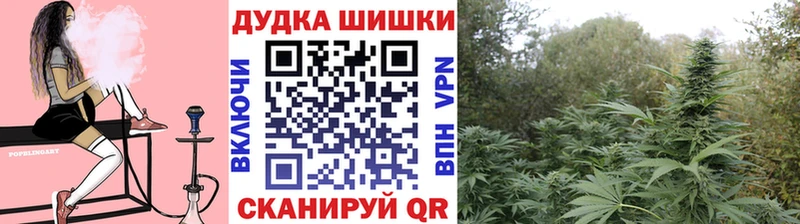 Хочу наркоту Заозёрск ГАШИШ  Alpha PVP  АМФЕТАМИН  COCAIN  Меф мяу мяу 