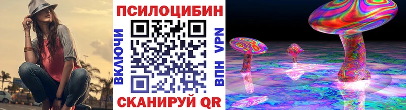 Псилоцибиновые грибы мухоморы  дарнет шоп  Заозёрск 